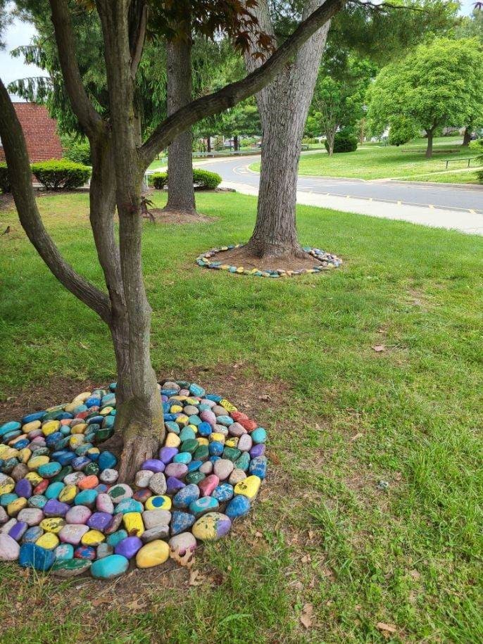 colored rocks surrounding a tree