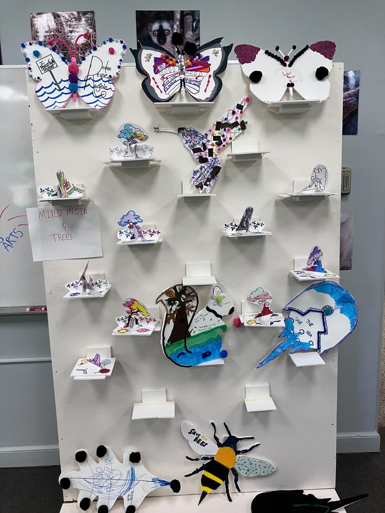 student projects